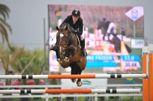 Successful Horses by Consolidator (Cornet Obolensky x Heartbreaker) x Carthago Successful Horses by Consolidator (Cornet Obolensky x Heartbreaker) x Carthago